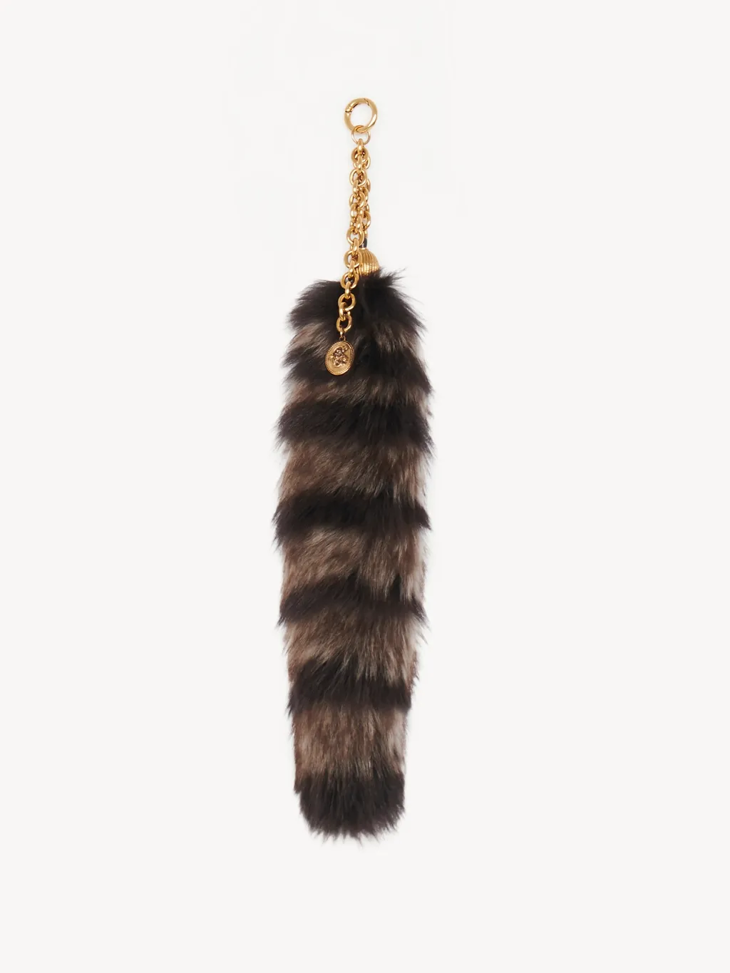 The Treasure Tails Charm