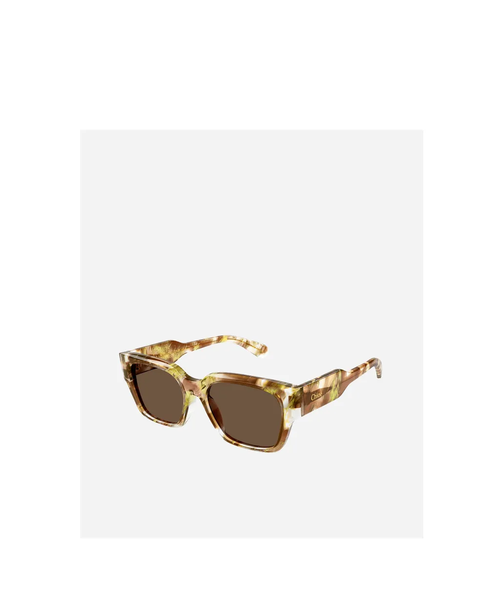 Full Frame Sunglasses