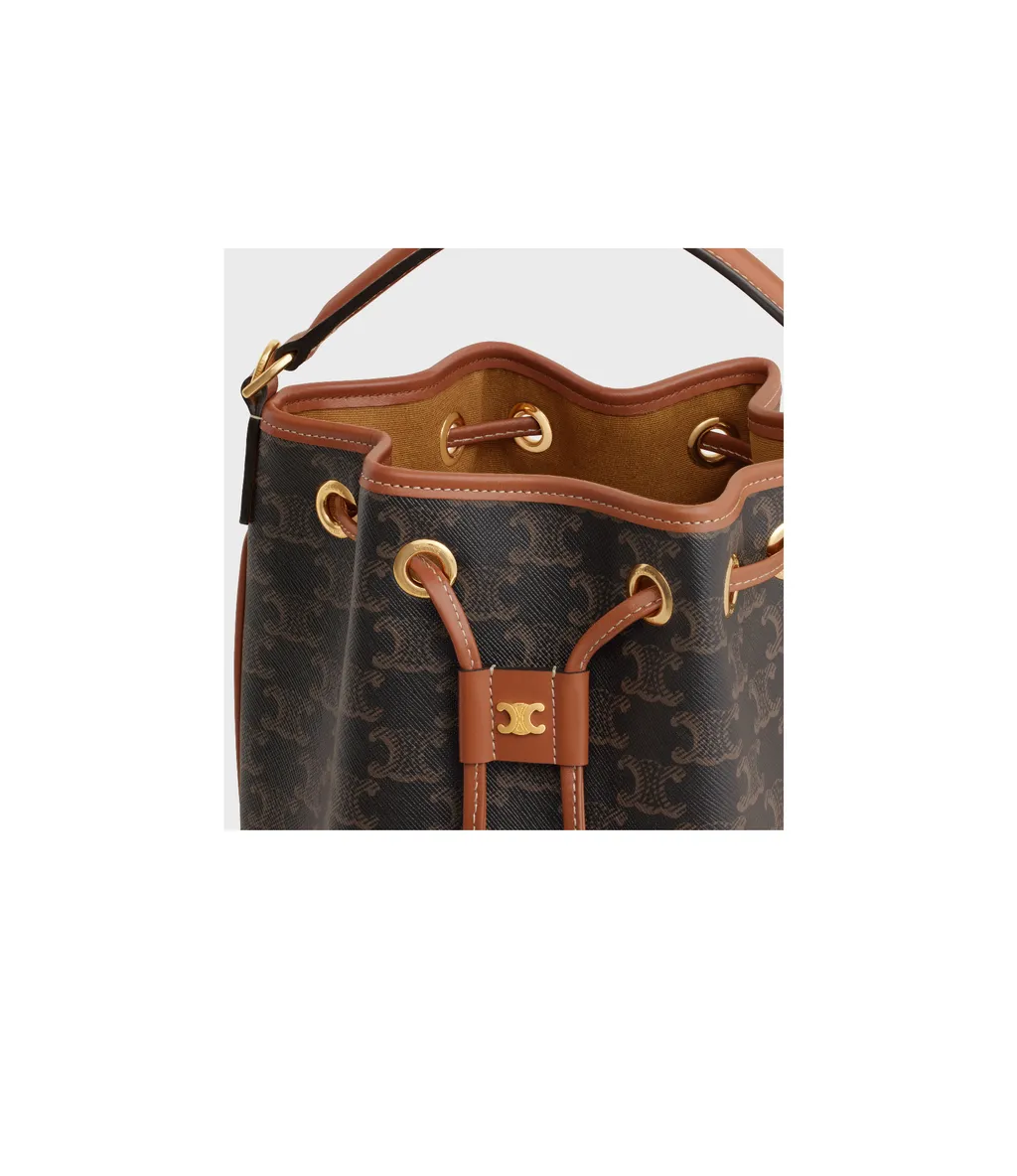 Clara Bag In Triomphe Canvas And Calfskin