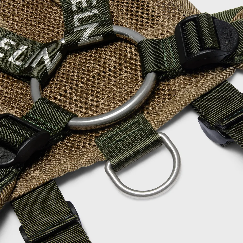 Harness Trekking In Cotton Gabardine With Celine Print