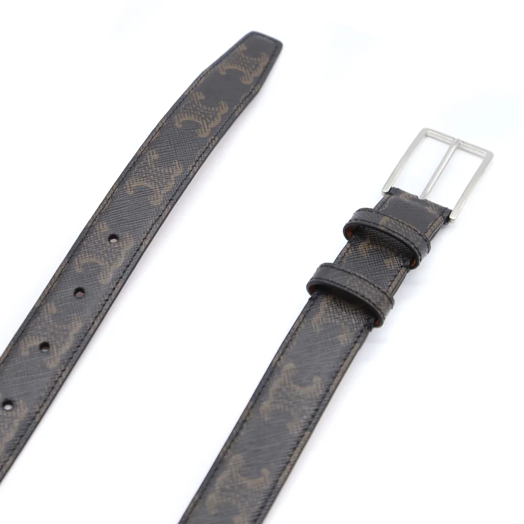 Medium Belt In Triomphe Canvas