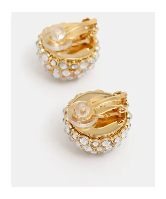 Heirlooms Dome Earrings In Strass And Brass