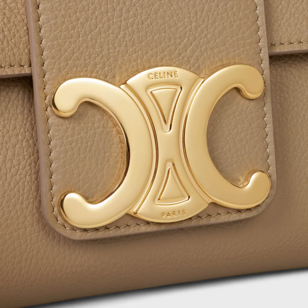 Medium Celine Victoire Bag