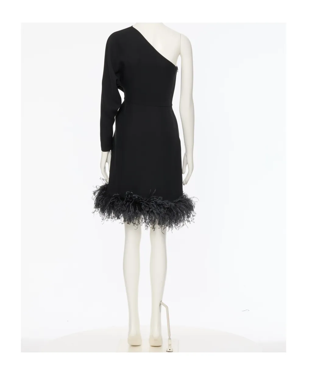 One-Shoulder Dress With Feather Trim