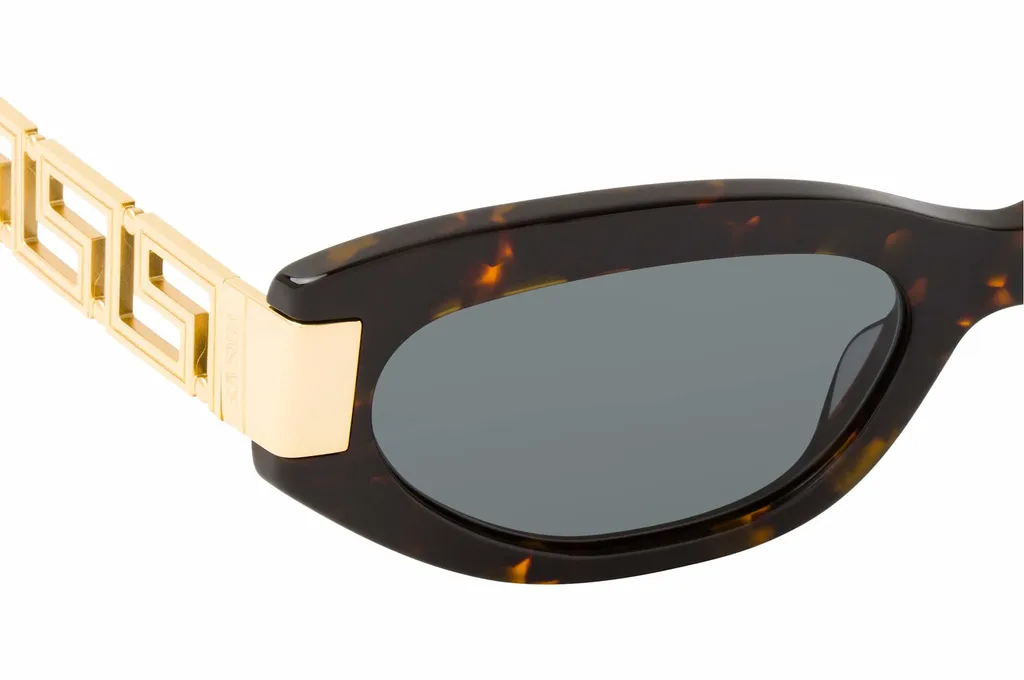Full Frame Sunglasses