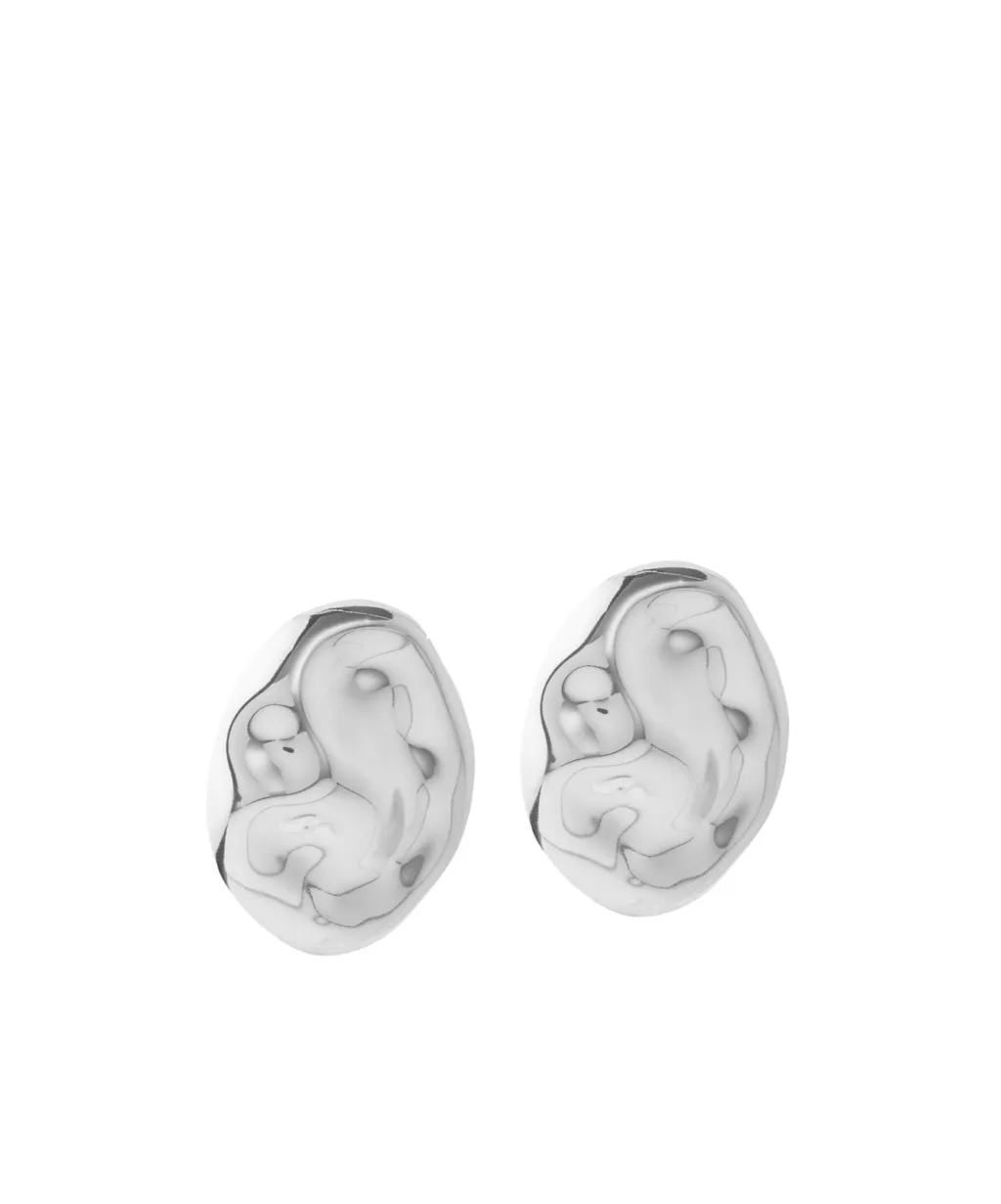 Circular Metallic Earrings