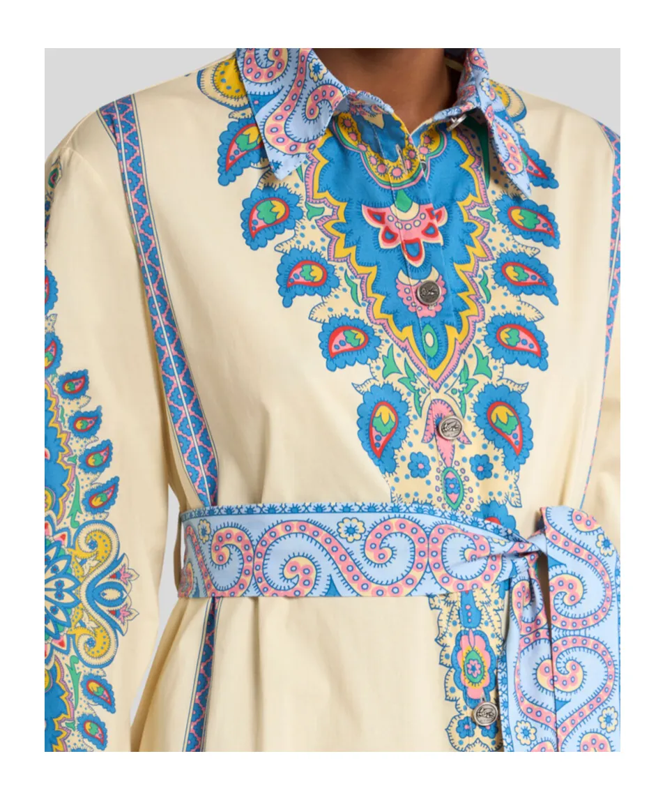 Paisley Printed A-Line Midi Shirt Dress