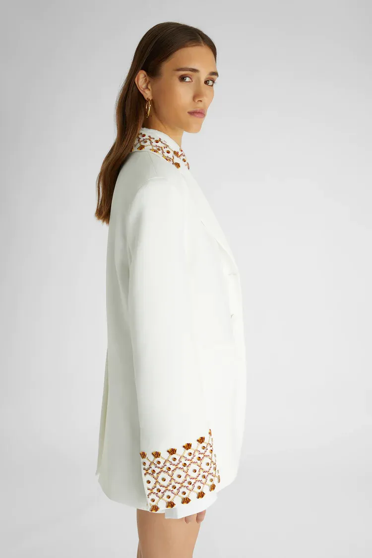 Single Breasted Embroidered Jacket