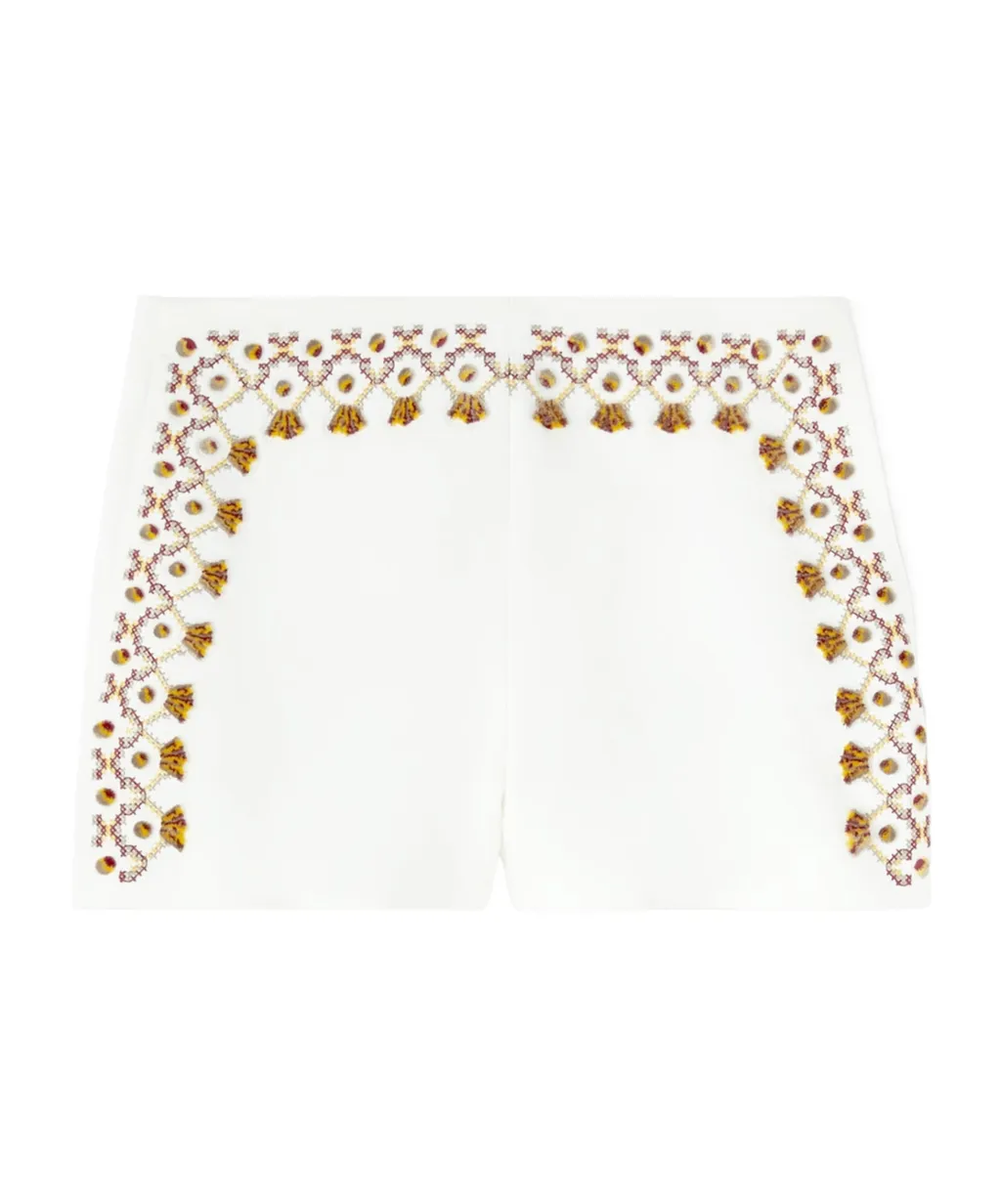 Embroidered Mini Shorts