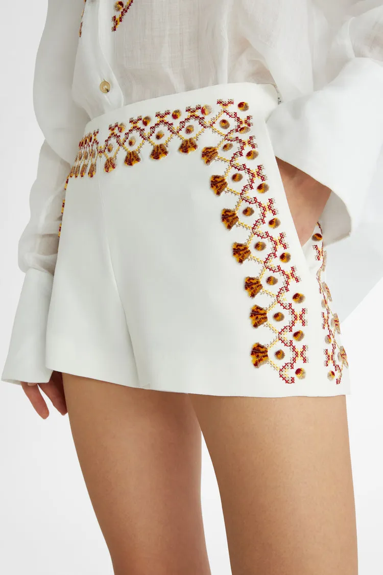 Embroidered Mini Shorts
