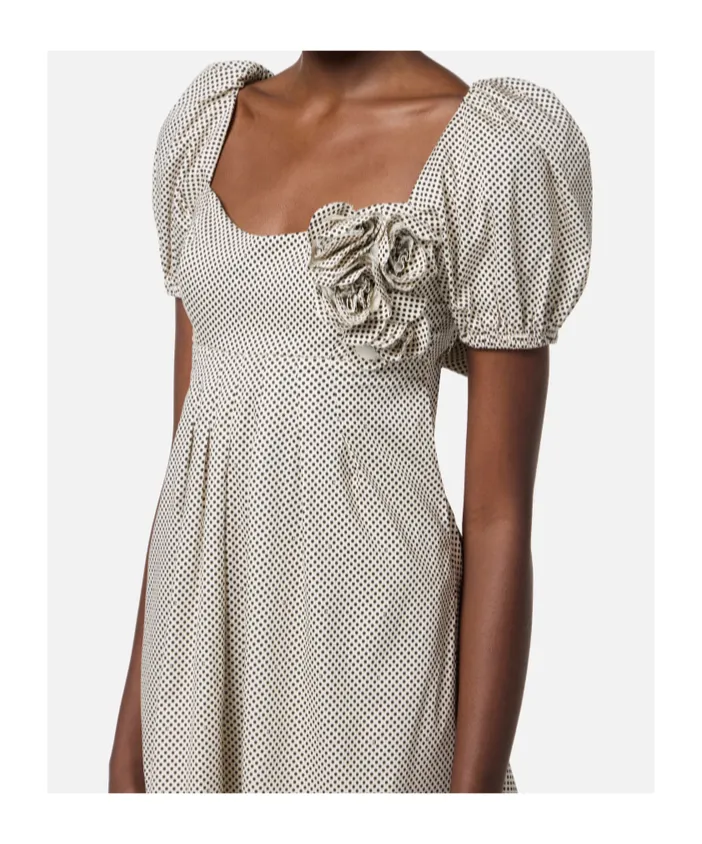 Embroidered Roses Polka Dot Printed Dress