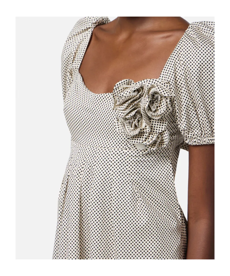Embroidered Roses Polka Dot Printed Dress