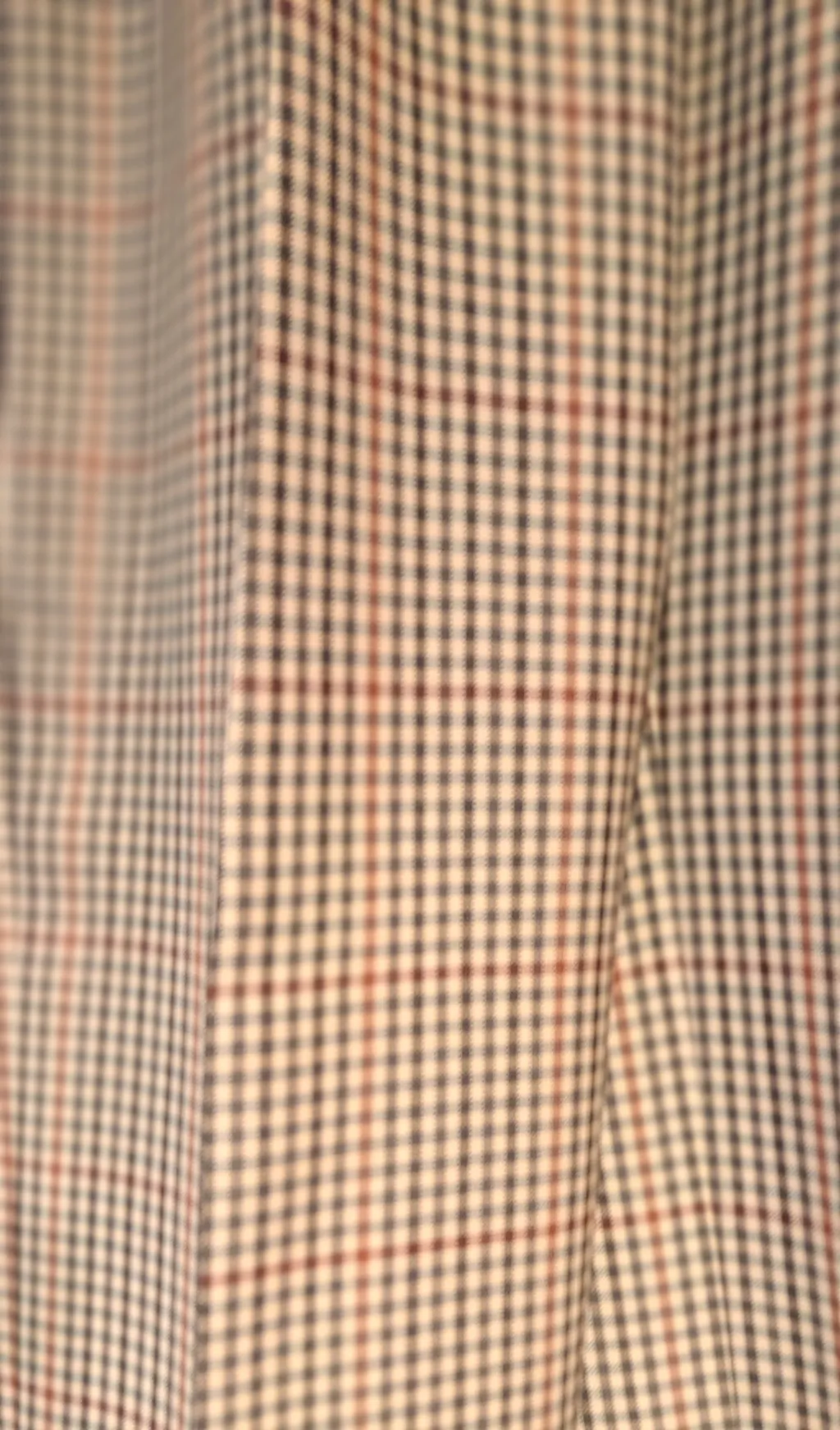 Checked Pleated Trousers