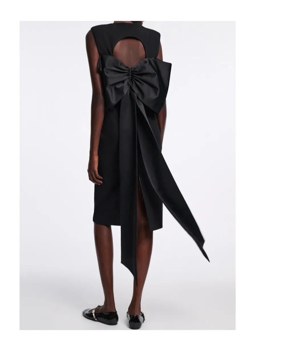 Emotional Essence Dress