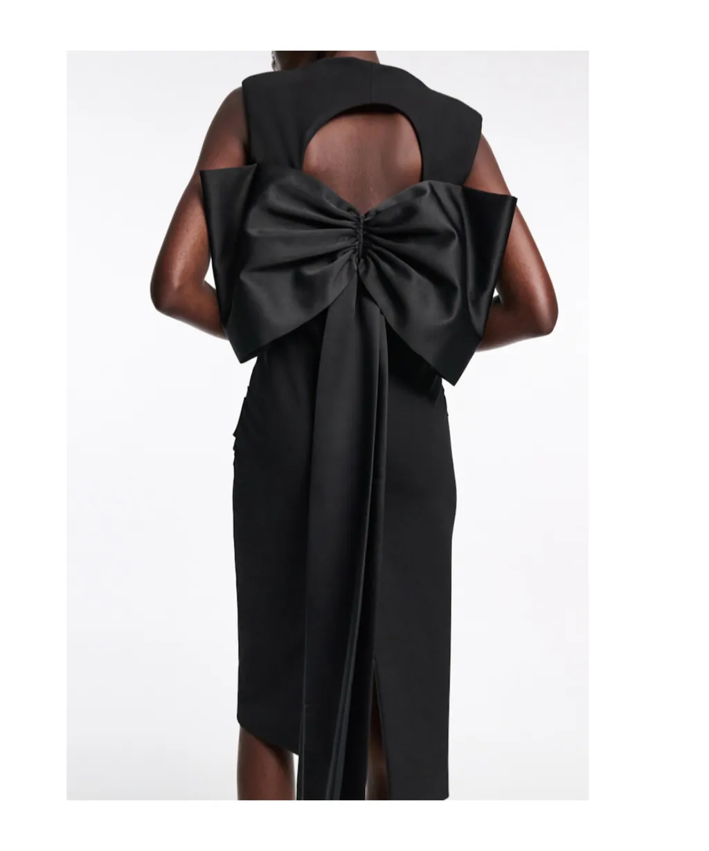 Emotional Essence Dress