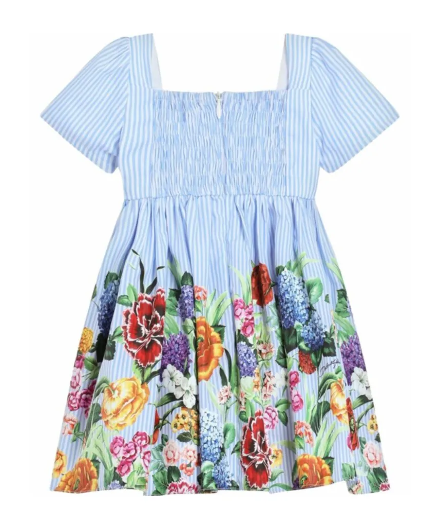 Floral Print Striped Poplin Dress