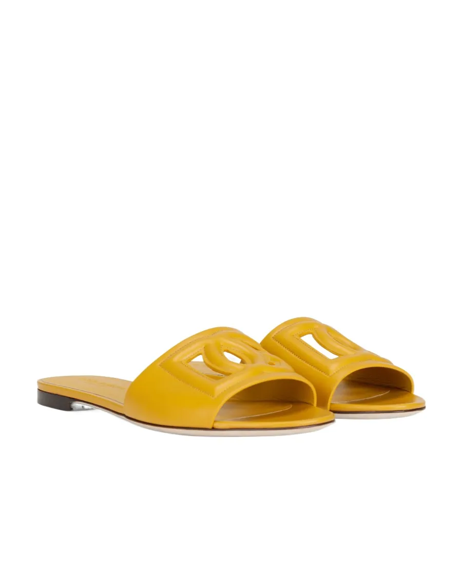 Dg Logo Slides