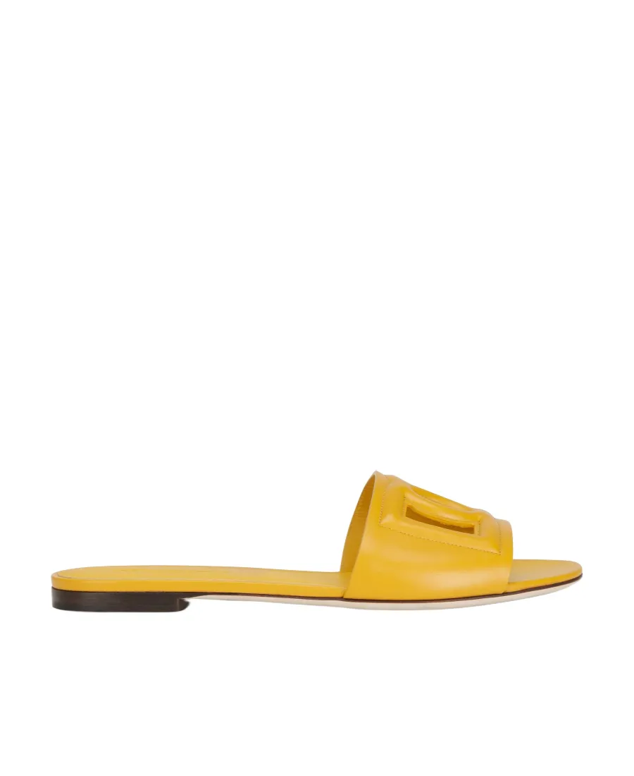 Dg Logo Slides