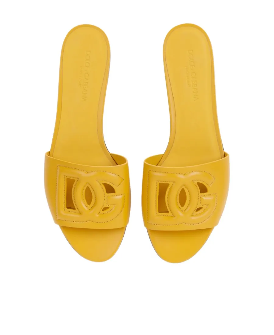 Dg Logo Slides
