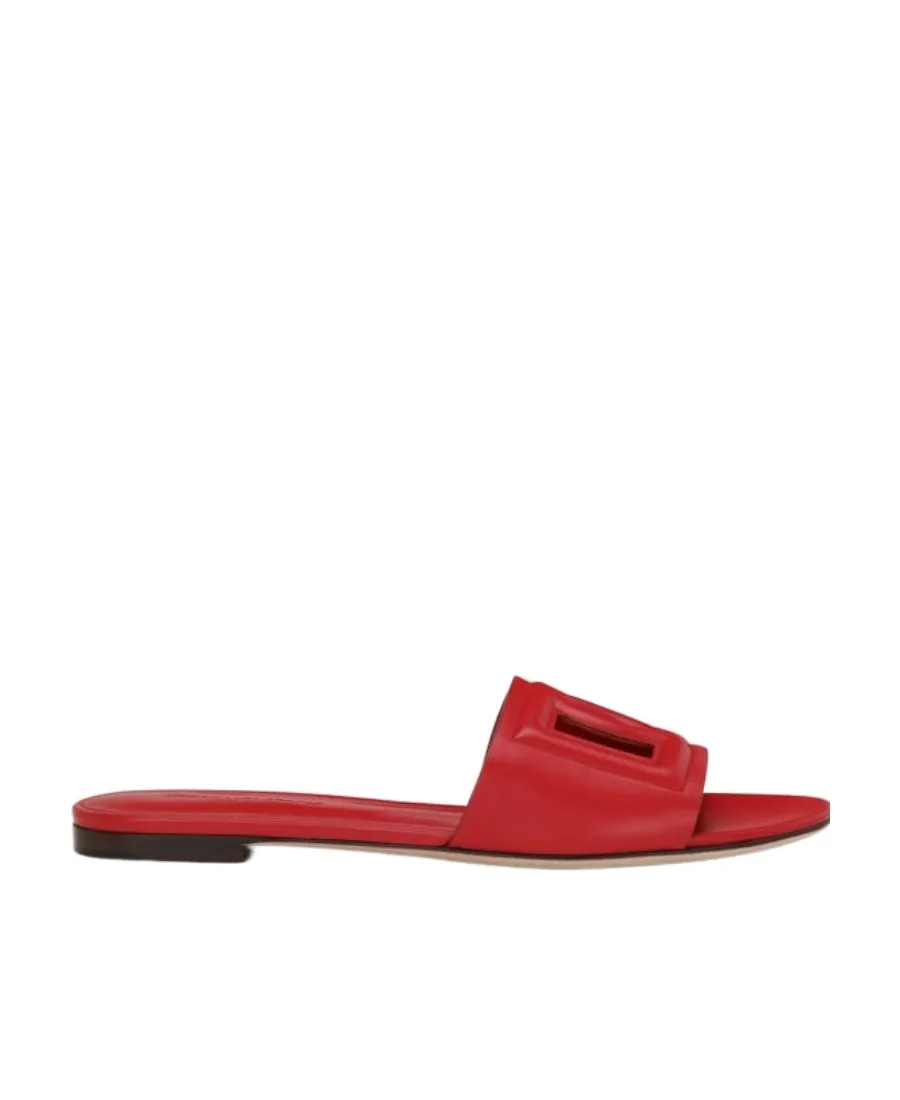 Dg Cut Out Slides