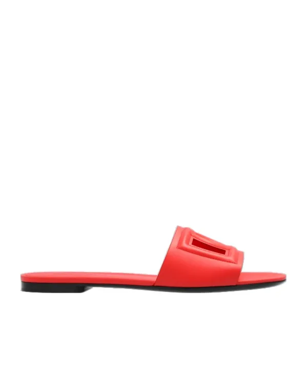 Dg Logo Slides