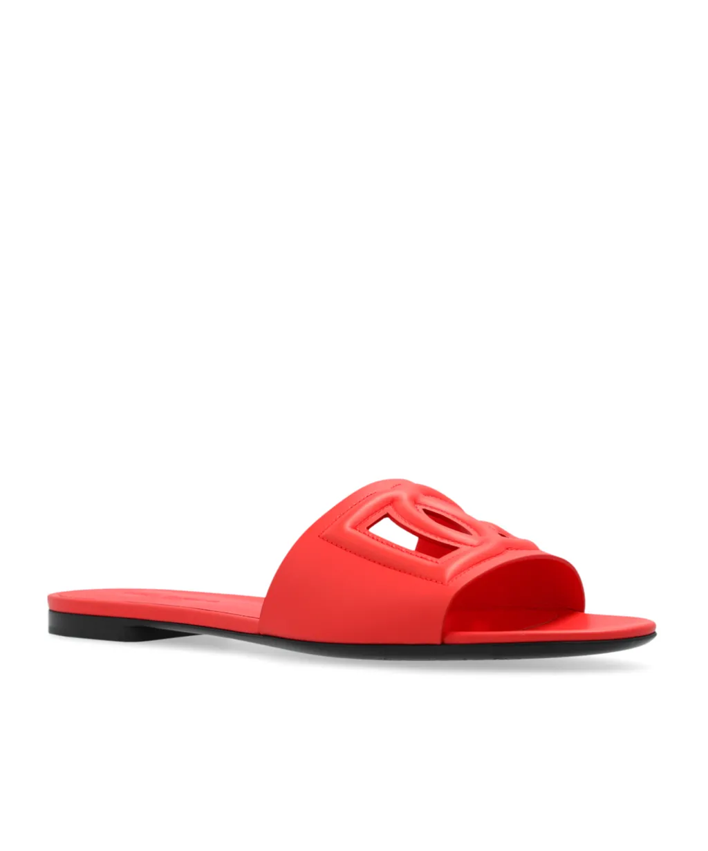 Dg Logo Slides