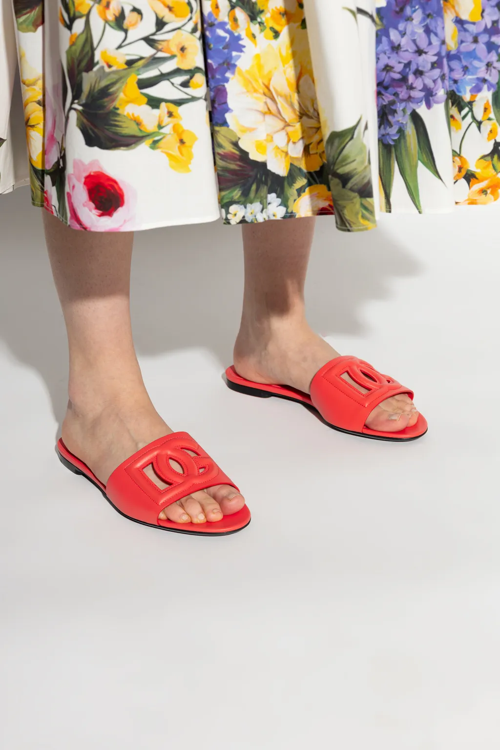 Dg Logo Slides