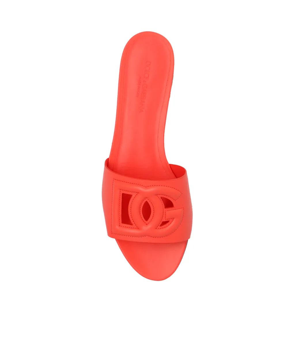Dg Logo Slides