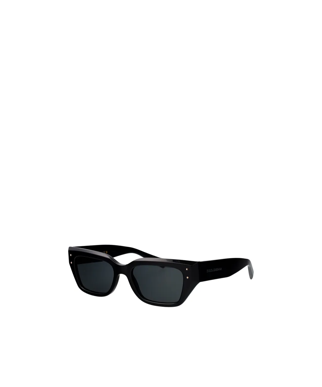Frame Sunglasses