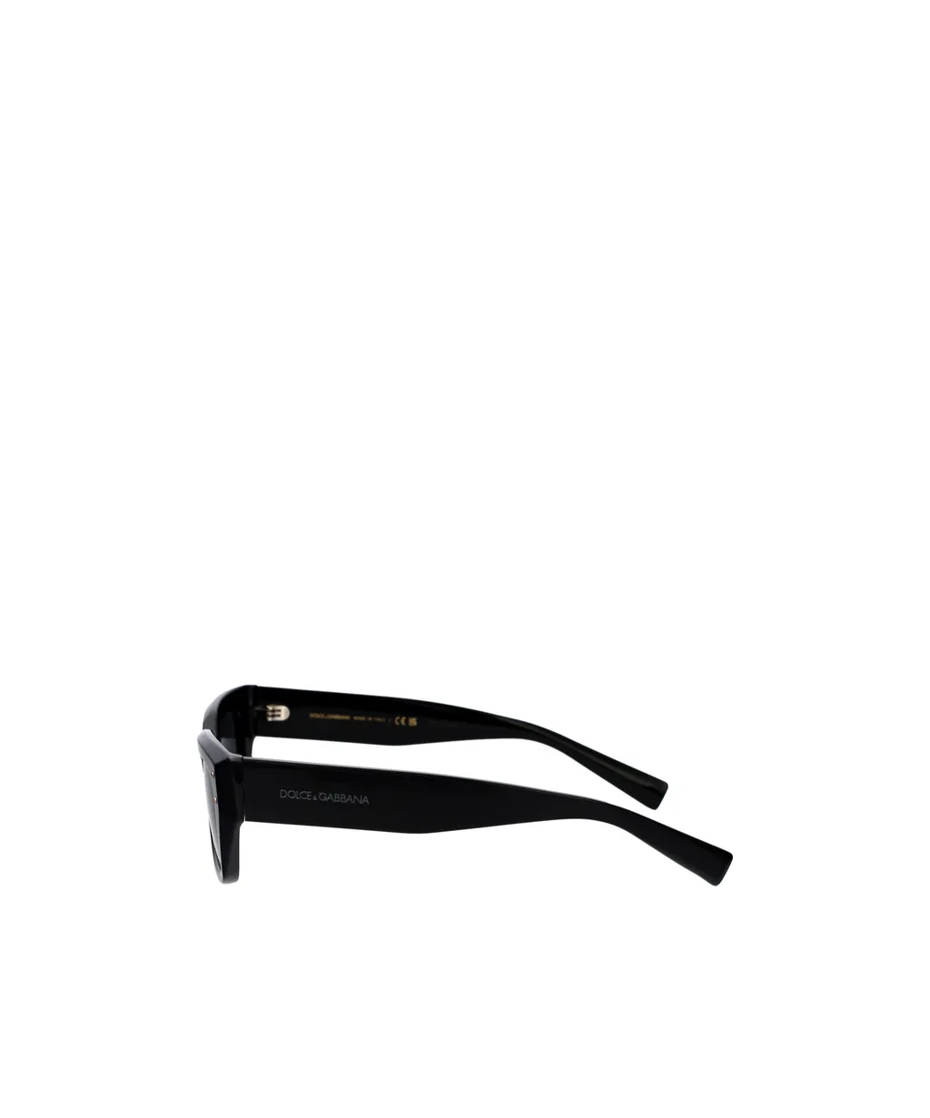 Frame Sunglasses