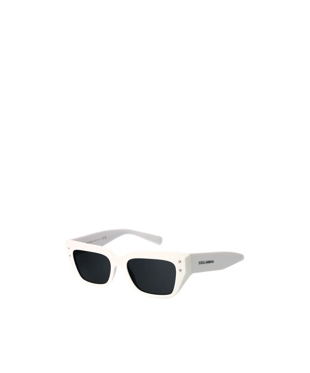 Full Frame Sunglasses