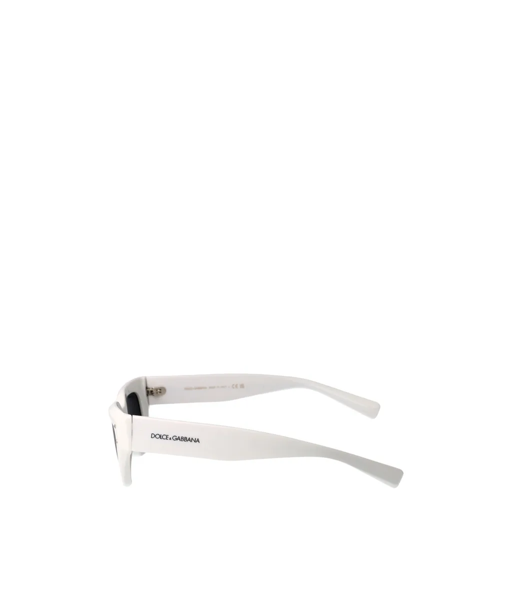 Full Frame Sunglasses