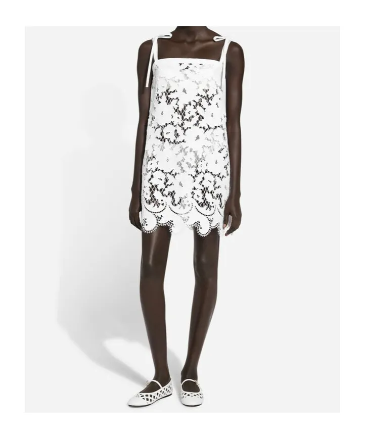 Floral Openwork Embroidered Mini Dress