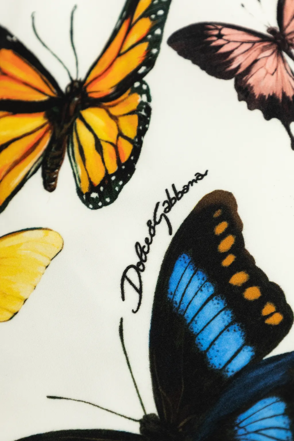 Butterfly Printed One-Piece Swimsuit