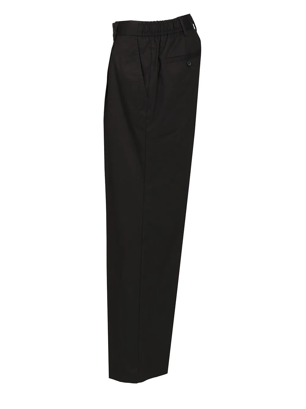 Pleated Tailored Pants