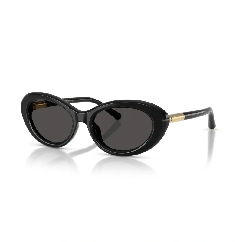 Oval Frame Sunglasses