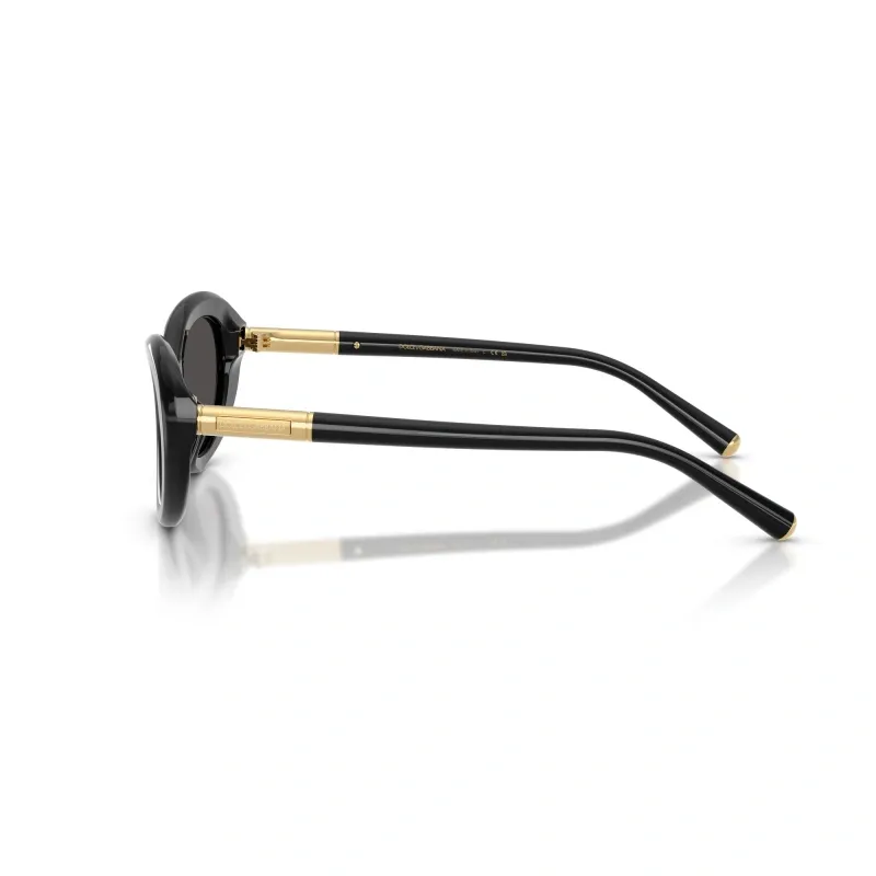 Oval Frame Sunglasses