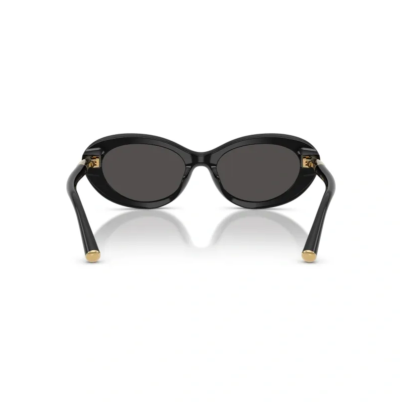 Oval Frame Sunglasses