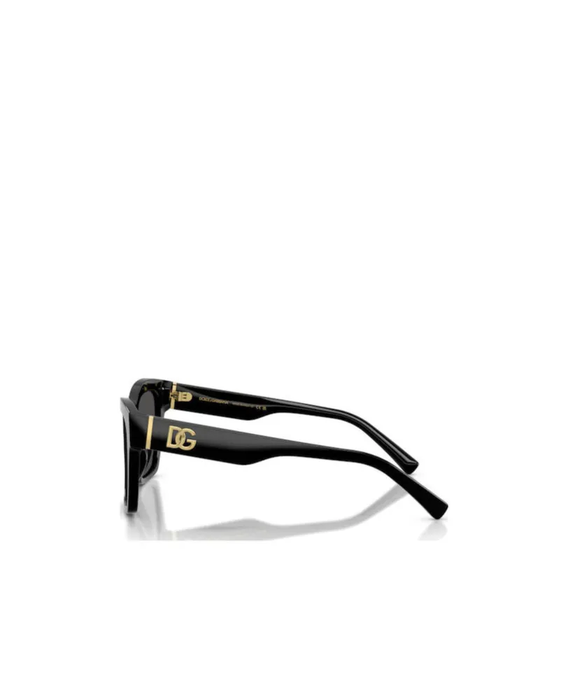 Square Frame Sunglasses