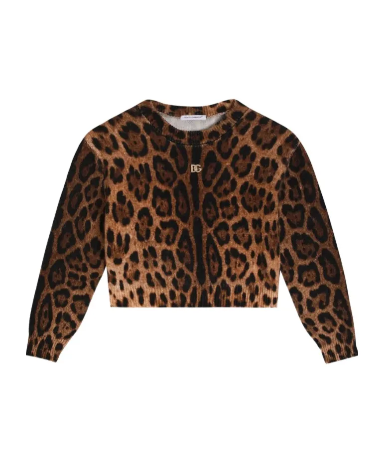Leopard-Print Crew-Neck Pullover
