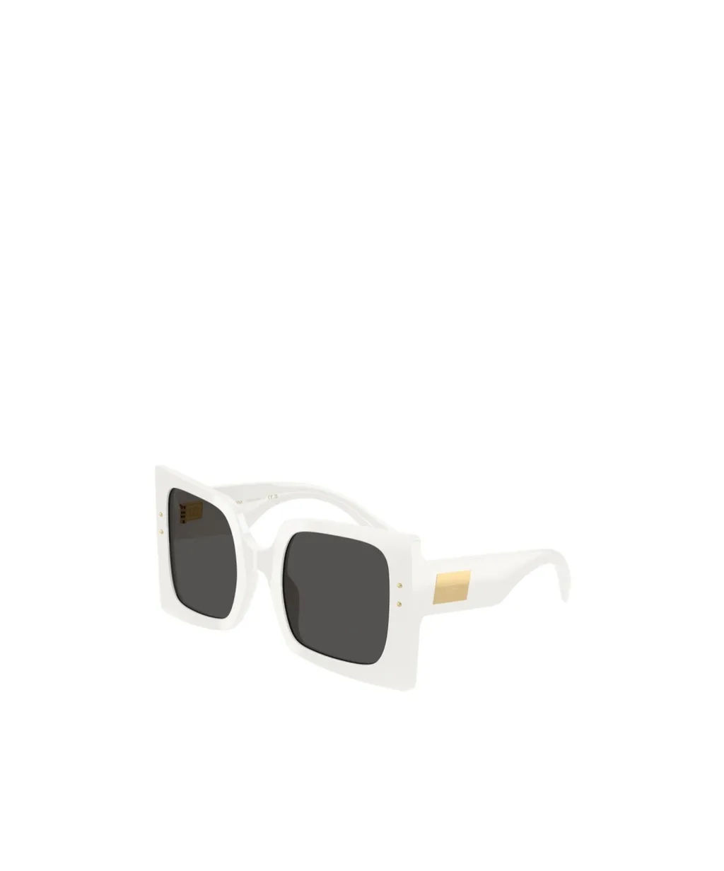 Full Frame Sunglasses