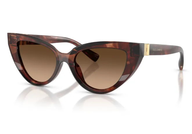 Full Frame Sunglasses