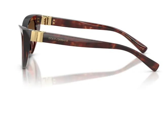 Full Frame Sunglasses