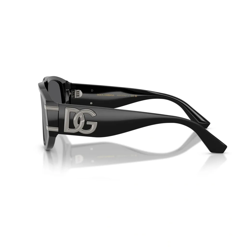 Full Frame Sunglasses