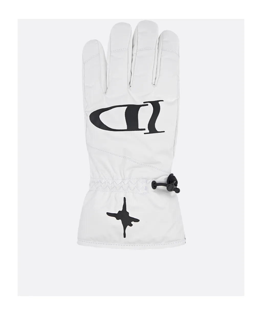 Dior And Lewis Hamilton Ski Gloves