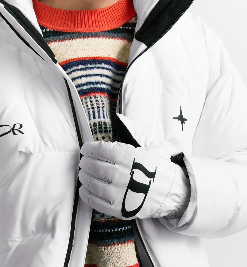 Dior And Lewis Hamilton Ski Gloves