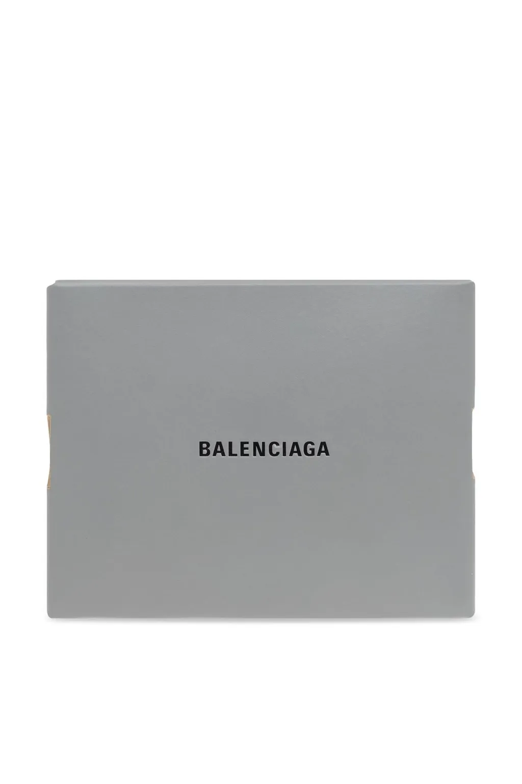 Cl Small Clutch Sn Box