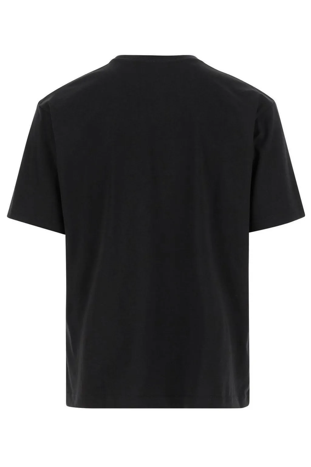 Glacier Graphic Printed T-Shirt