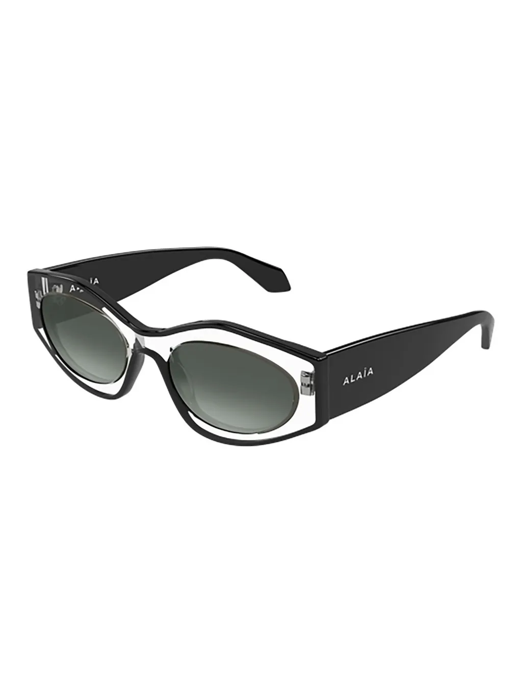 Oval Frame Sunglasses