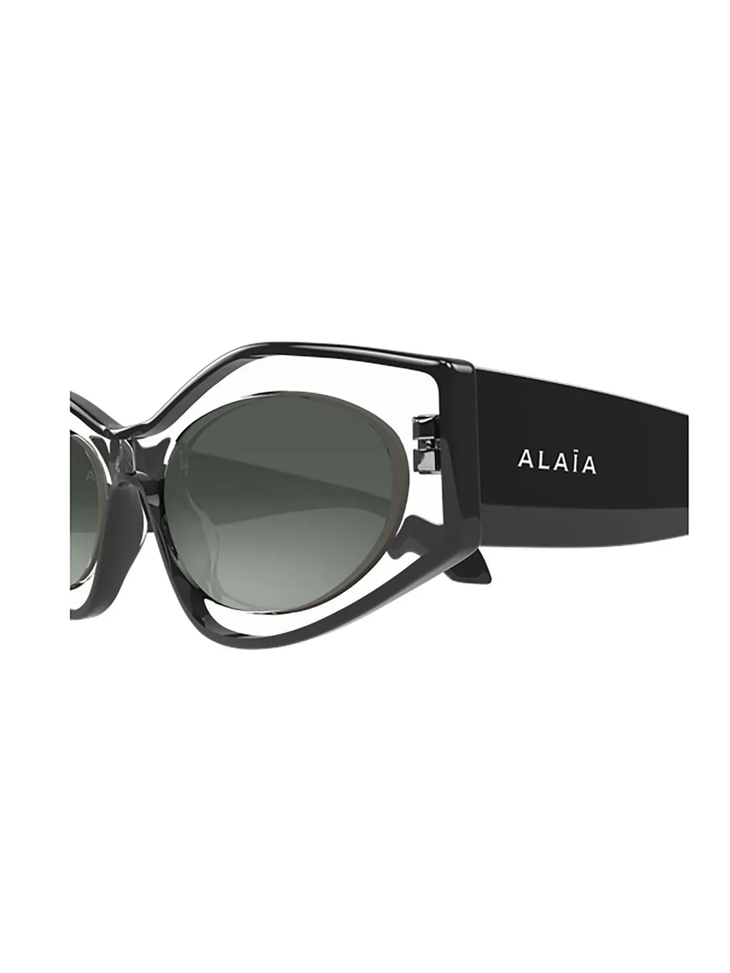 Oval Frame Sunglasses